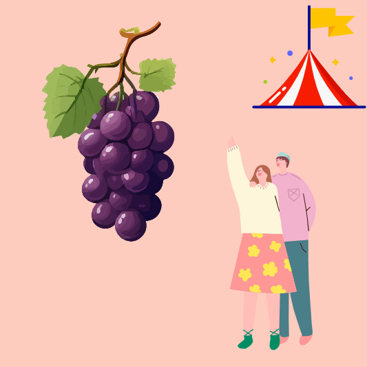 영동-포도-축제