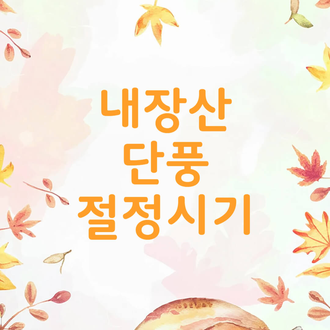 내장산 단풍 절정시기