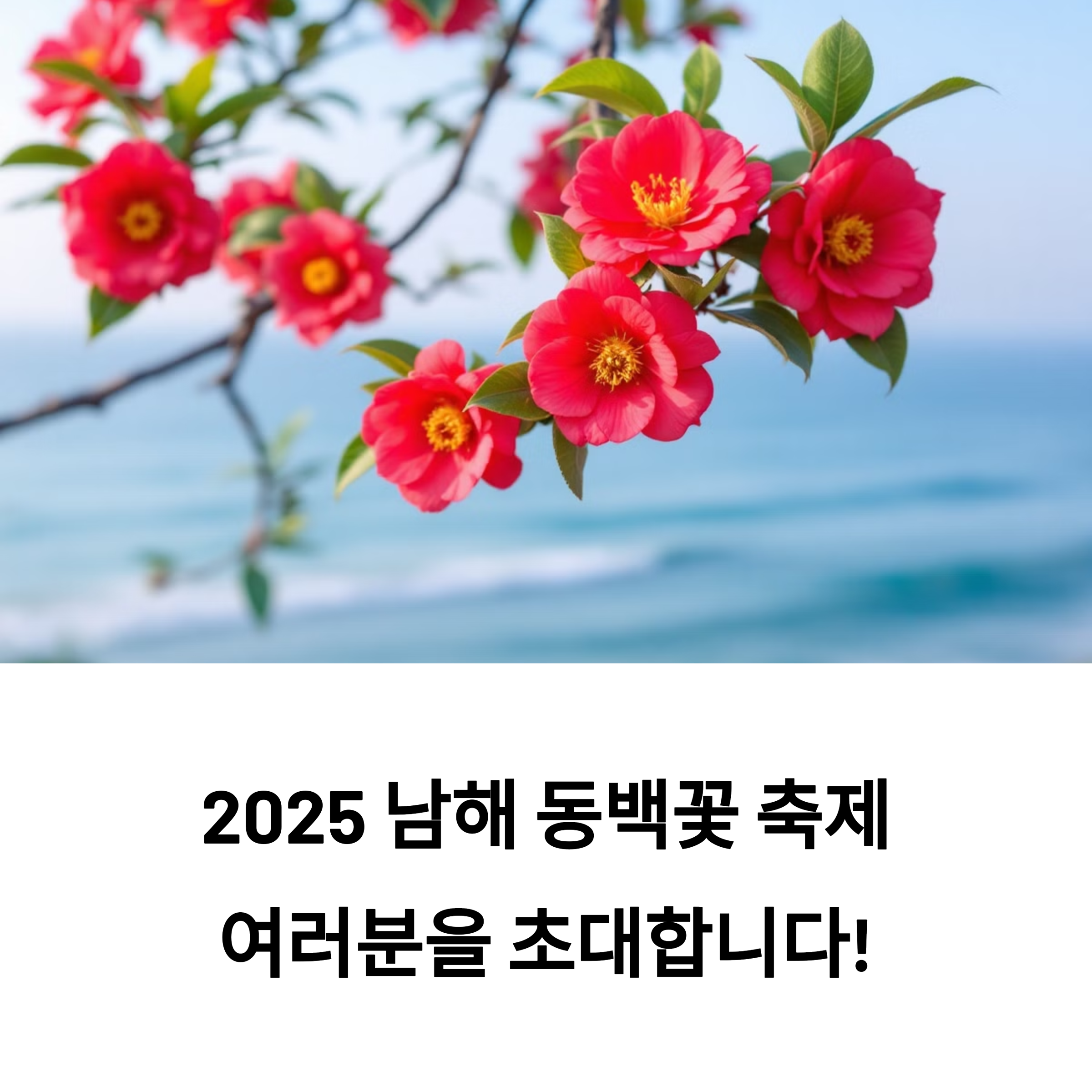 2025 남해 동백꽃 축제