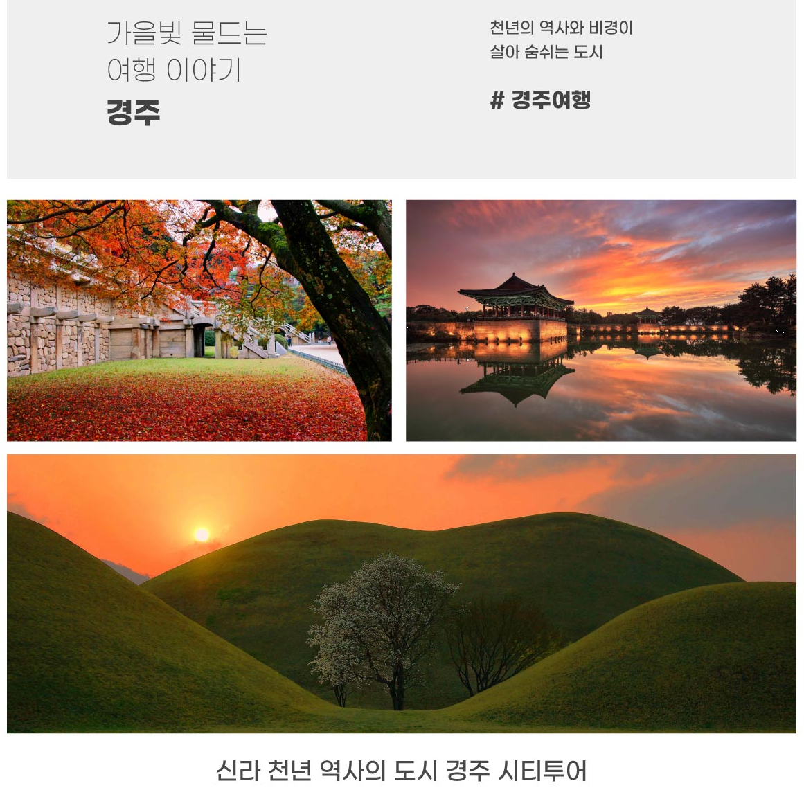 해랑열차 예약 방법 관련 이미지5