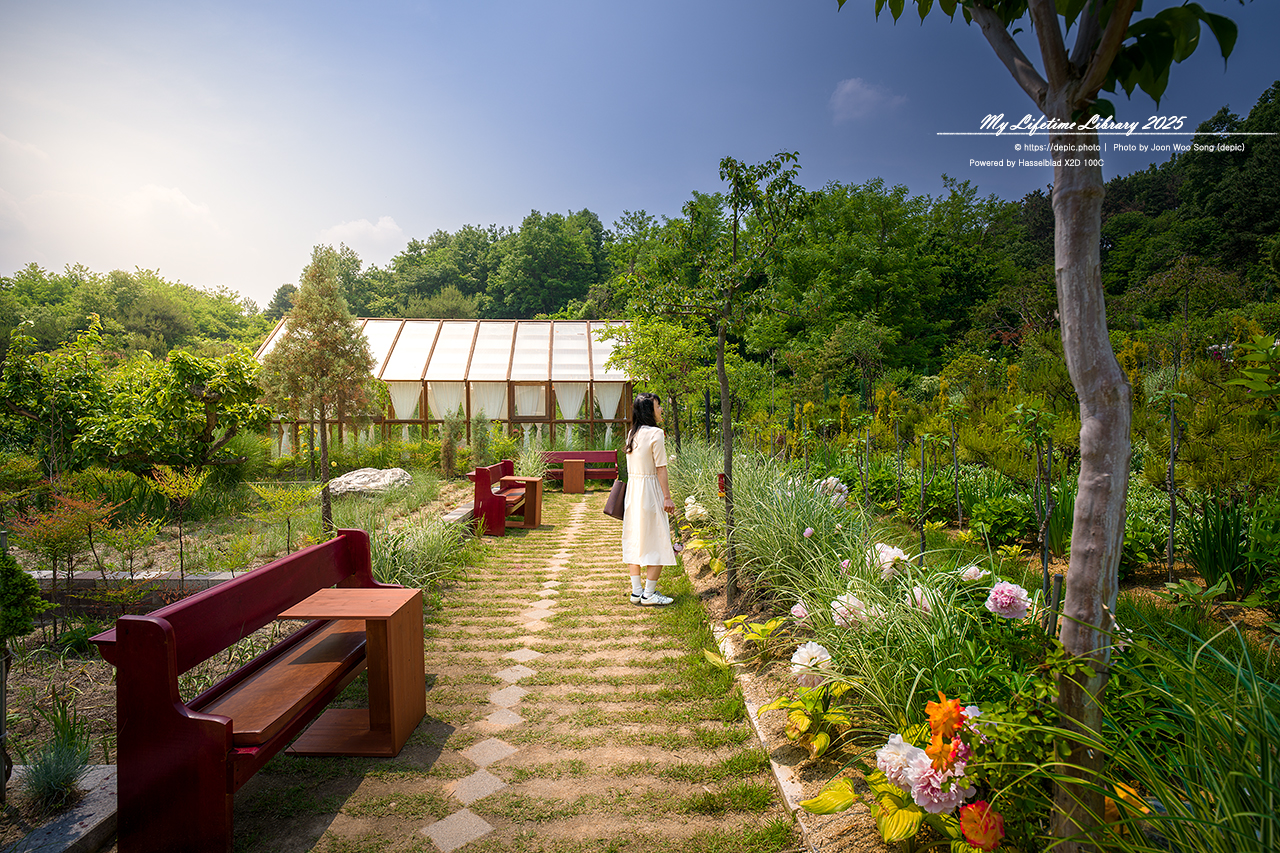 #카페 #꽃 #청주 #오창 #숲이그린정원