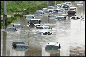 도로위의 참수차들