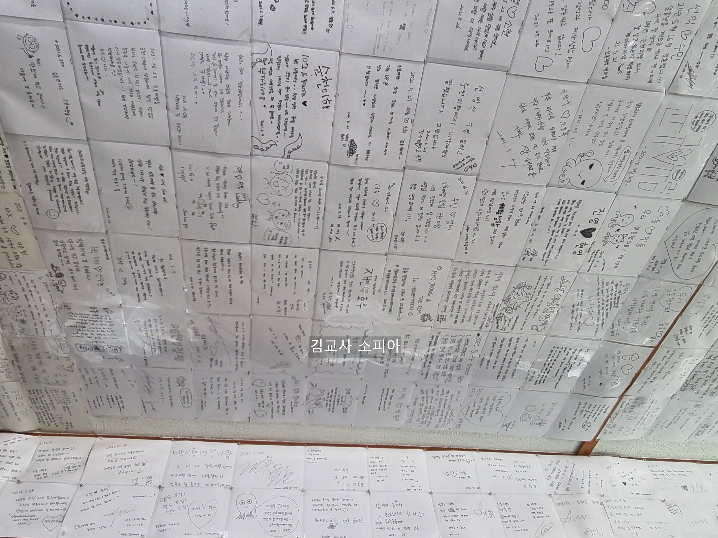 ✈️ 제주 서귀포 산방산 맛집, 순천미향 갈치조림[내돈내산]