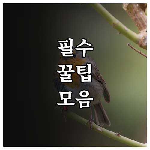 지금 바로 2025 경남 농어업인수당..