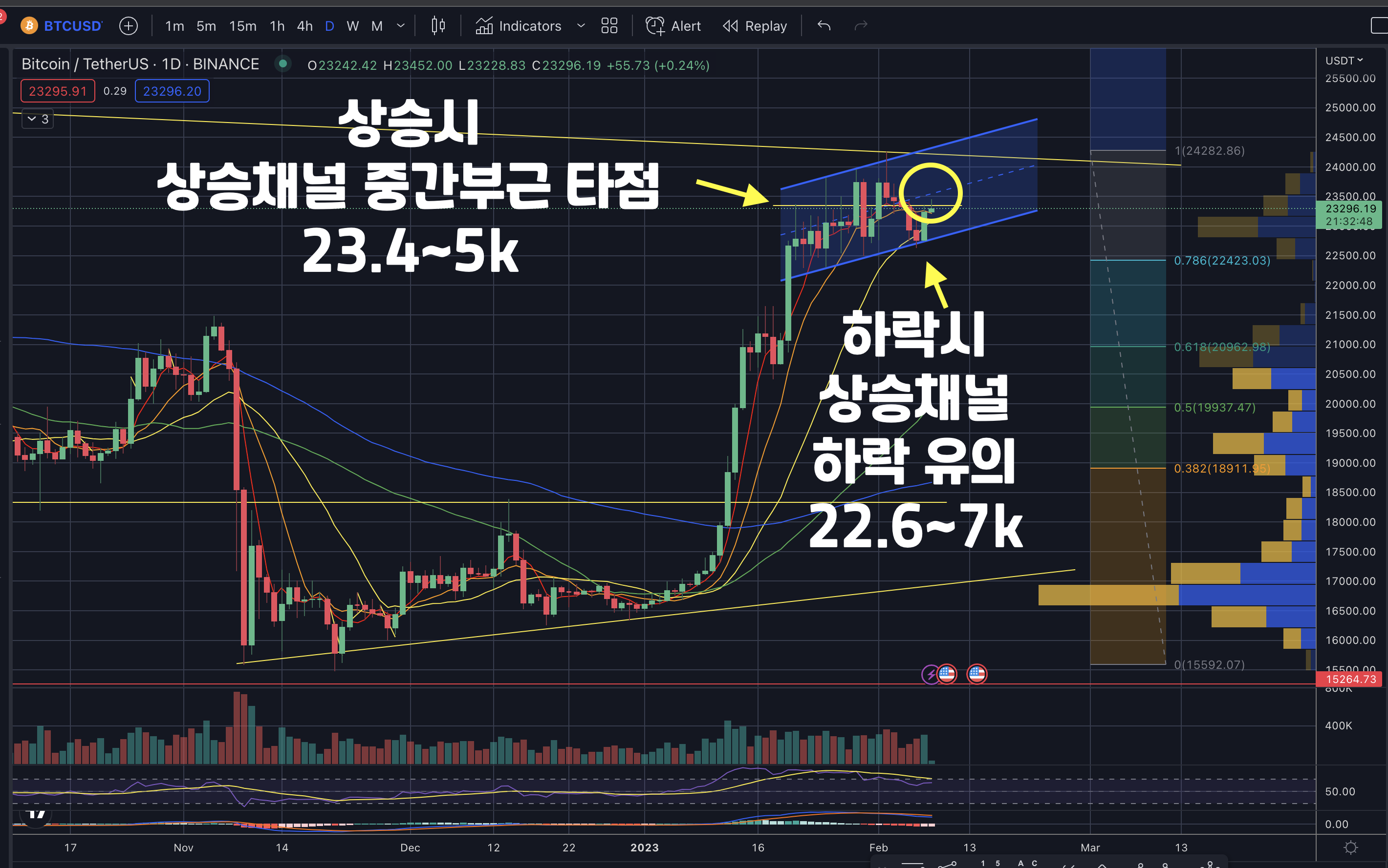 일비트코인일봉