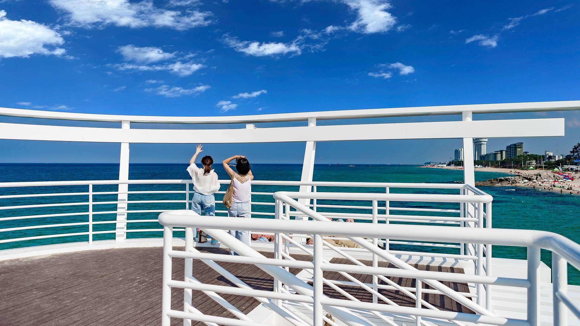 강릉 사근진 해변 유채꽃밭