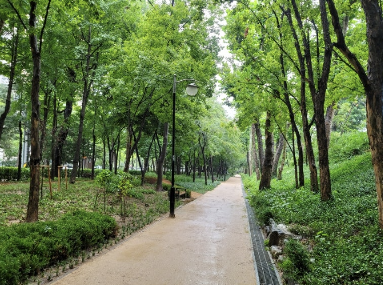 청담근린공원 이미지