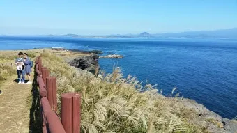 마라도 여행 코스 배편 점심 추천 포토스팟 당일치기 가이드_9