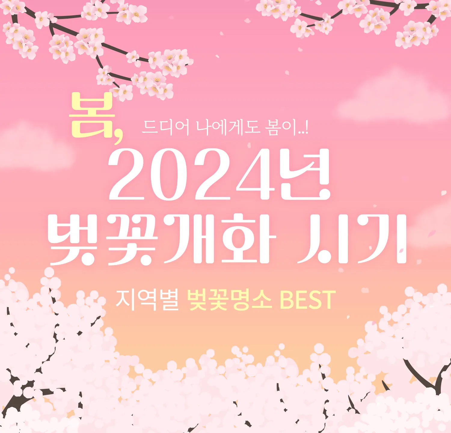 2024년 벚꽃 개화시기 및 벚꽃 명소 BSET 10