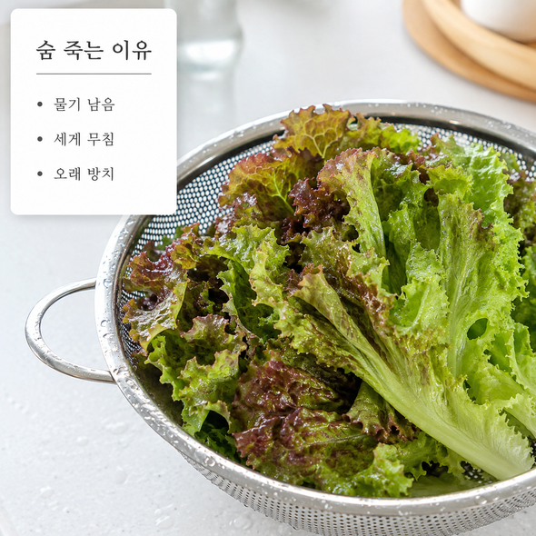 숨죽는 이유