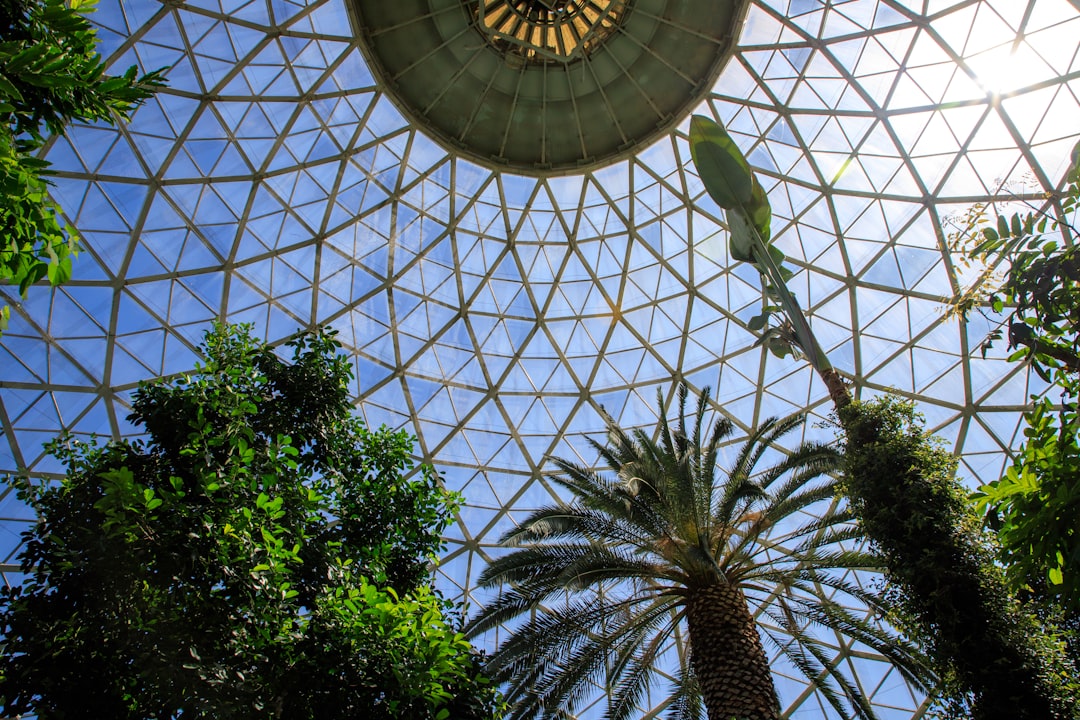Dome