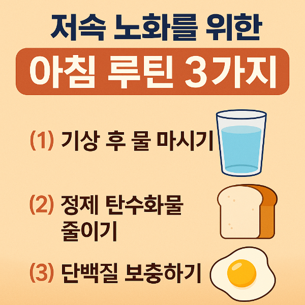 저속 노화를 위한 아침 건강 루틴 3가지