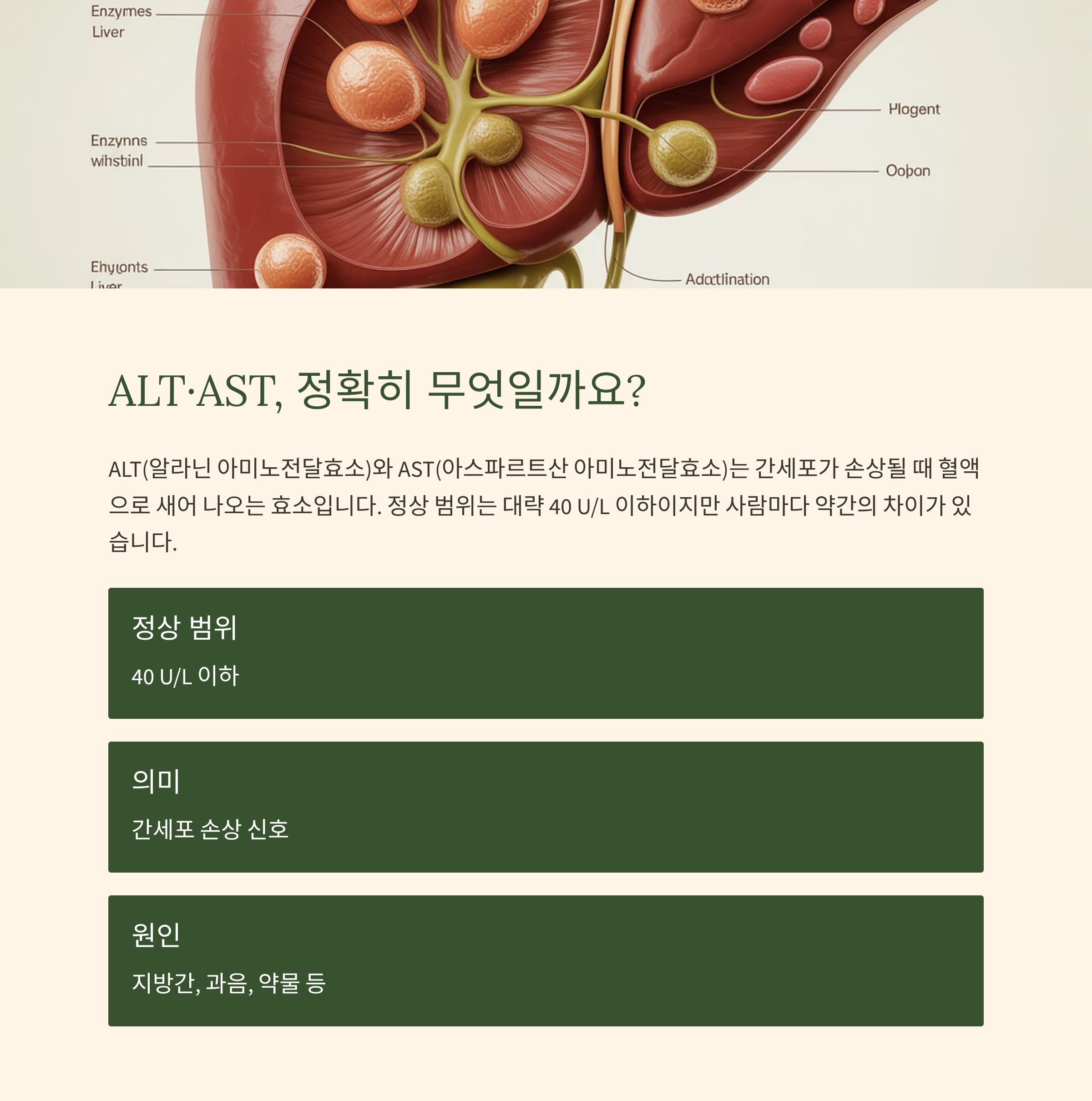 ALT·AST ,정상 범위는?