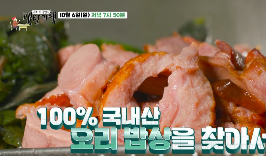 백반기행 종각역 오리샤브샤브 맛집 병천유황오리 본점 위치 및 정보(종로 오리 맛집)