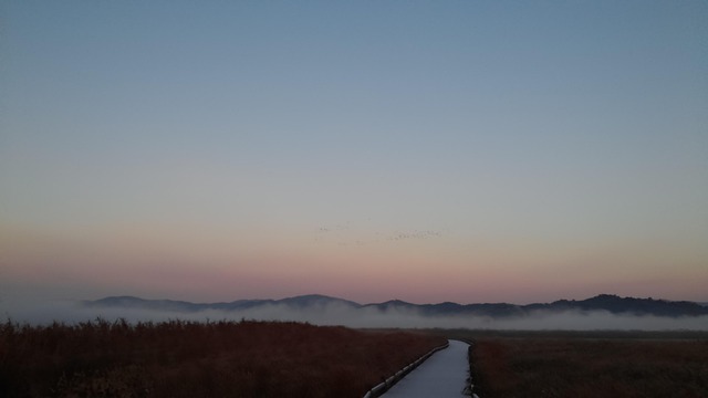 단풍의 절정&amp;#44; 가을의 끝을 품은 여행 &ndash; 내장산과 순천만