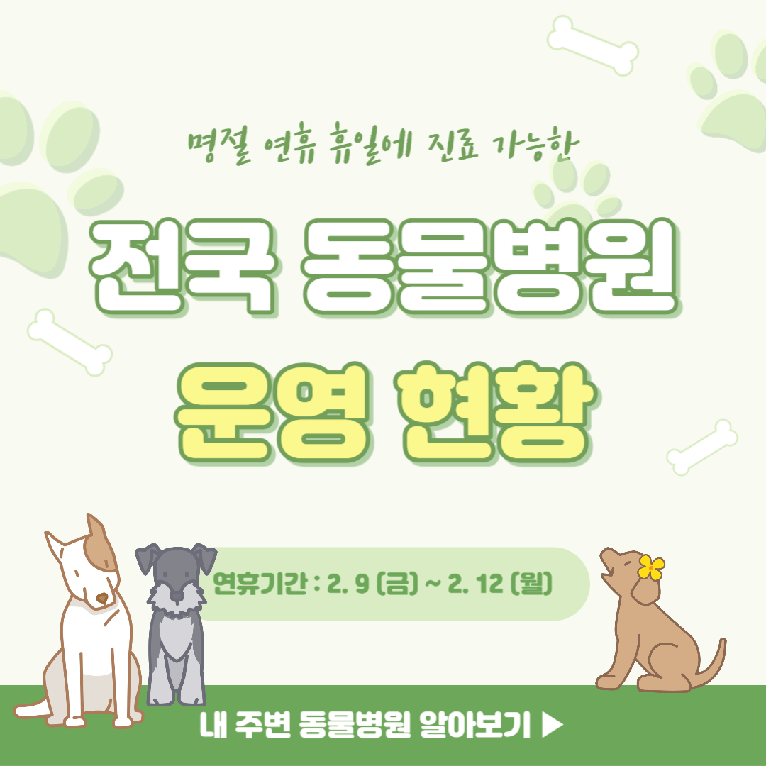 명절 공휴일 연휴기간 진료하는 전국 동물병원 찾기