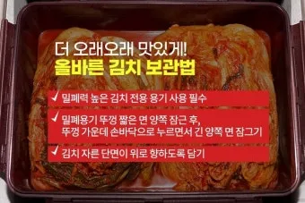 김치 보관 꿀팁, 오랫동안 아삭함 유지하는 비법, 김장김치 및 냉장김치 보관 차이_37
