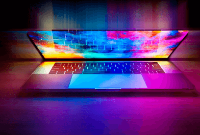 사대보험 징수포털사이트