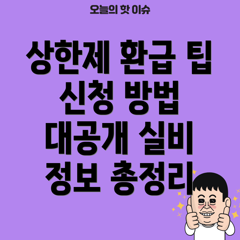 본인부담 상한제