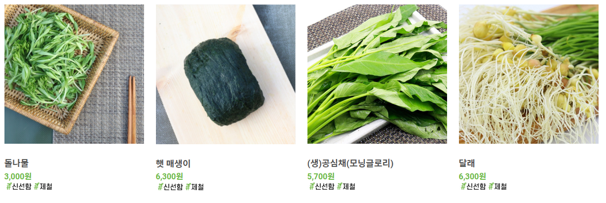 생방송투데이 나물구독서비스 제철나물 나물투데이