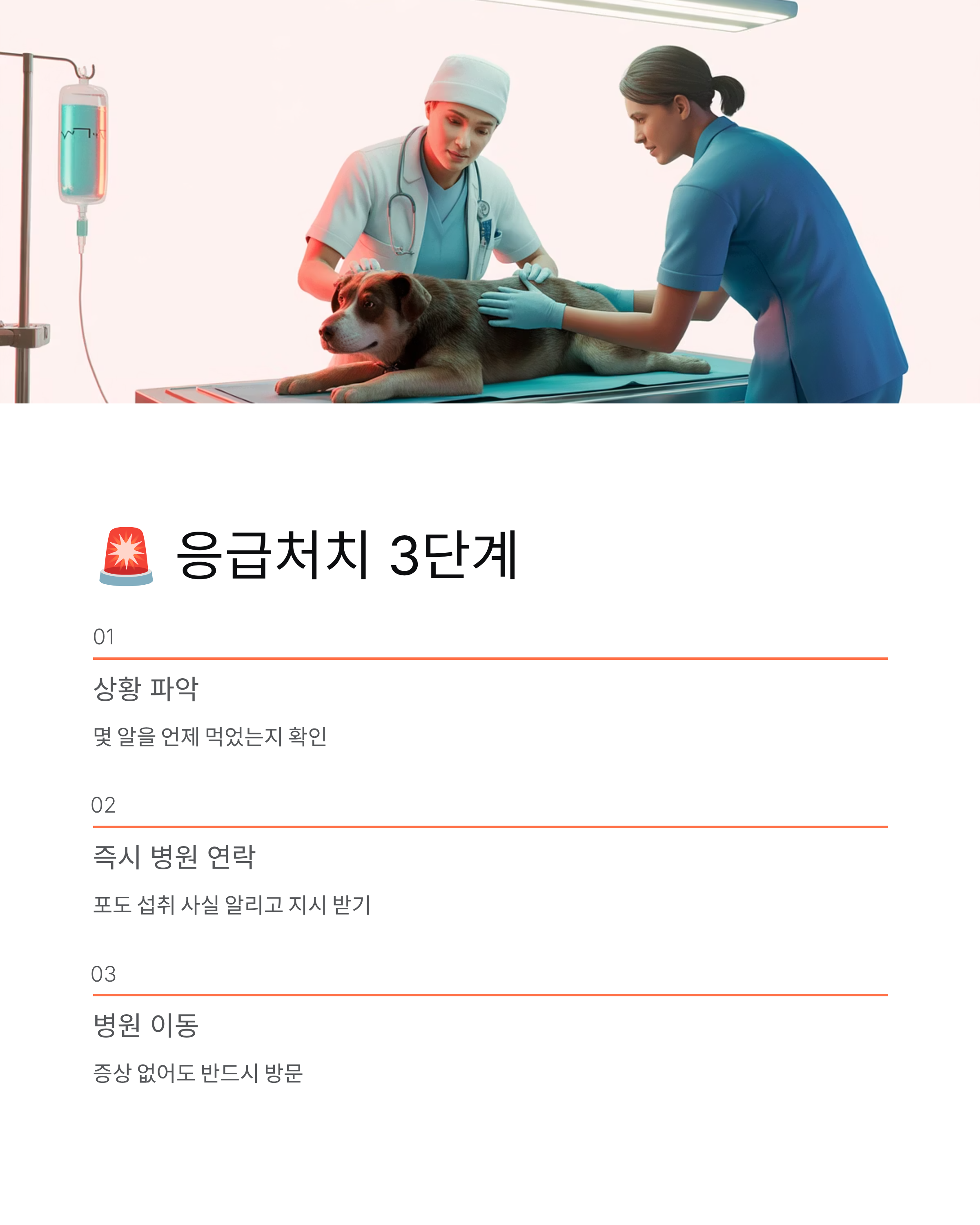 강아지 포도 먹으면 죽는다?단 한 알도 절대 안 되는 이유