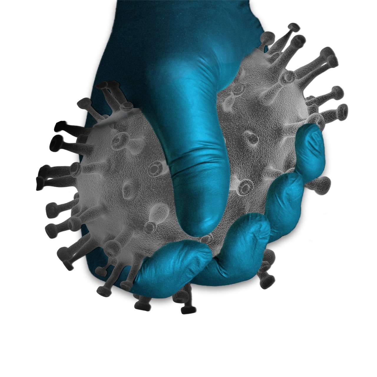 바이러스 이미지