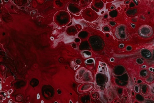 스테비아 방울토마토