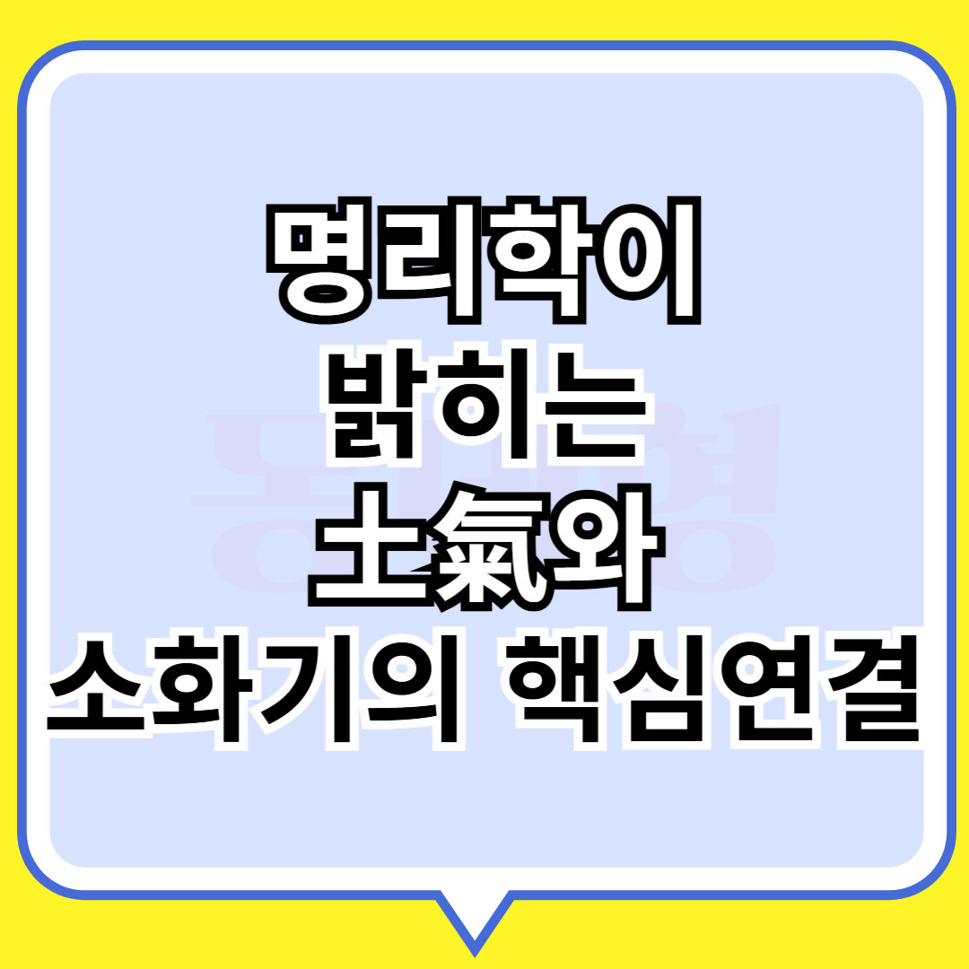 명리학으로 밝히는 토기와 소화기의 핵심연결