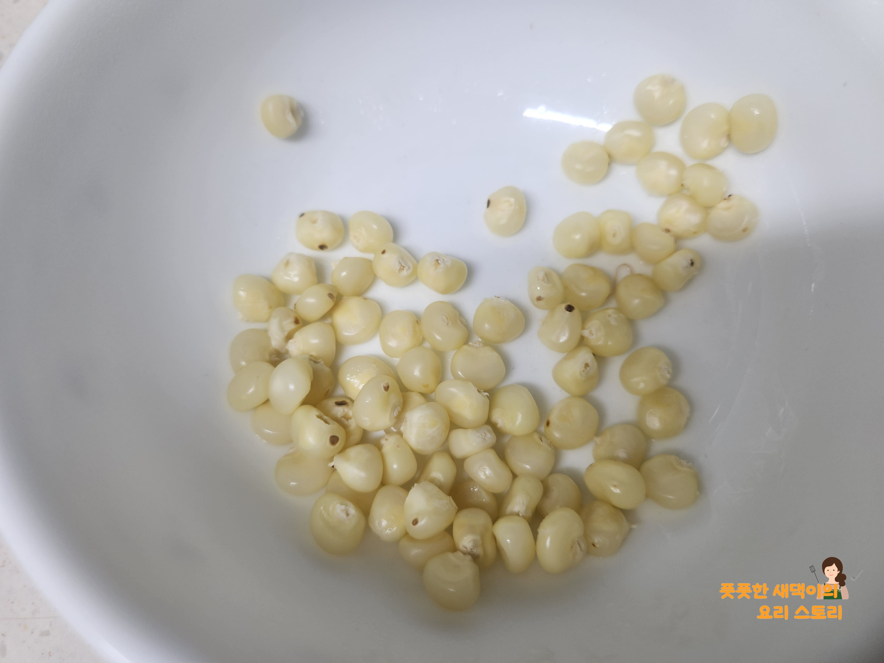옥수수 준비