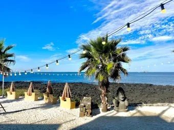 제주 애월 카페 추천 분위기 좋은 브런치 카페 소개_10