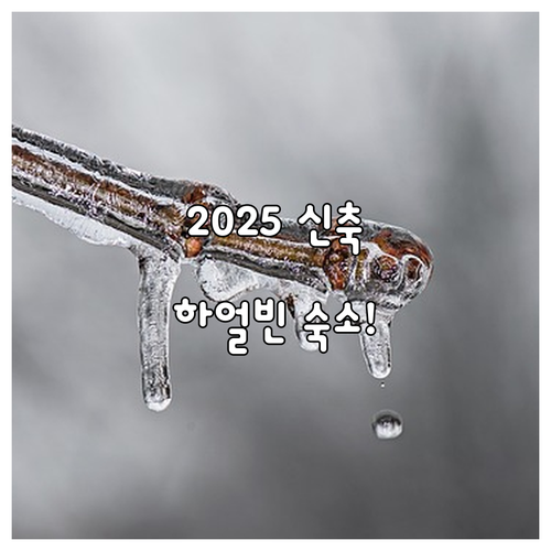 하얼빈 빙설대세계 근처 숙소 추천 및..