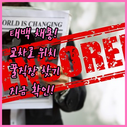 태백시 채용 공고 확인하는 법과 교차..