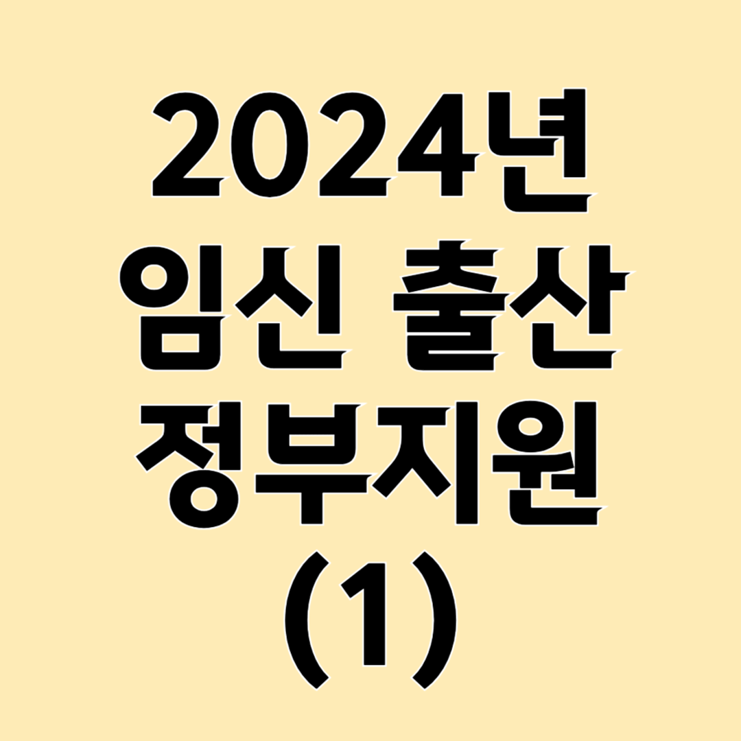 임신 출산 정부 지원
