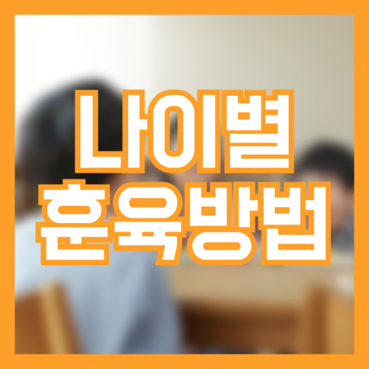 훈육 방법 나이별로 어떻게 가르쳐야!?