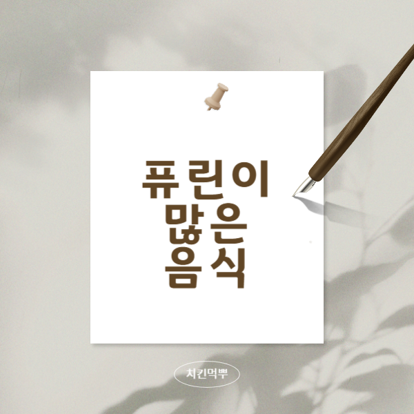 퓨린이-많은-음식에-대해서