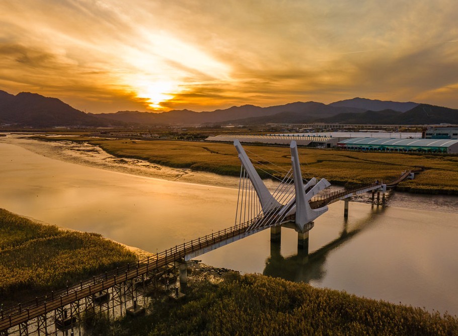2025강진만 춤추는 갈대축제 기간,야경,체험