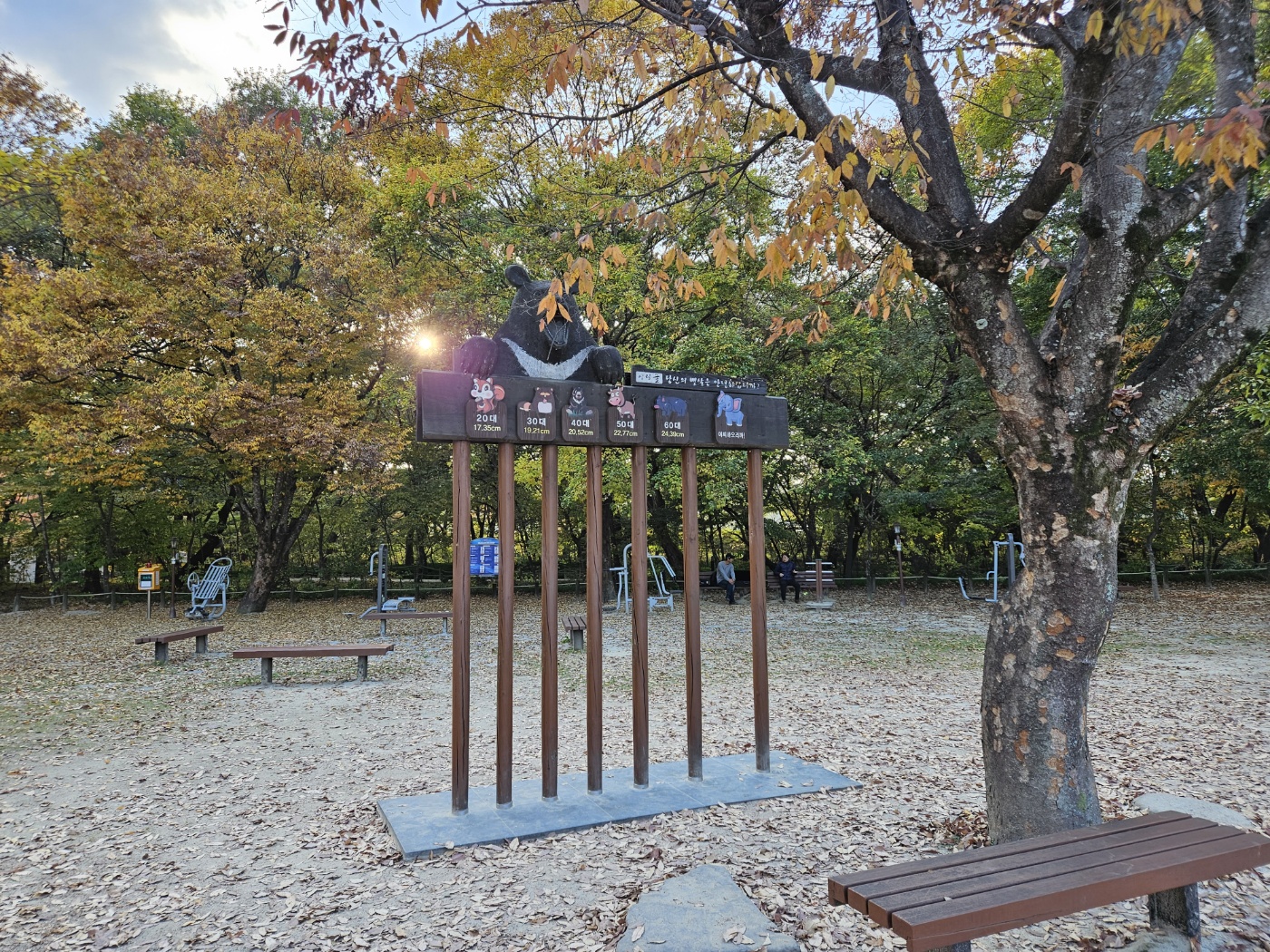 경남함양상림 뱃살 나이 테스트