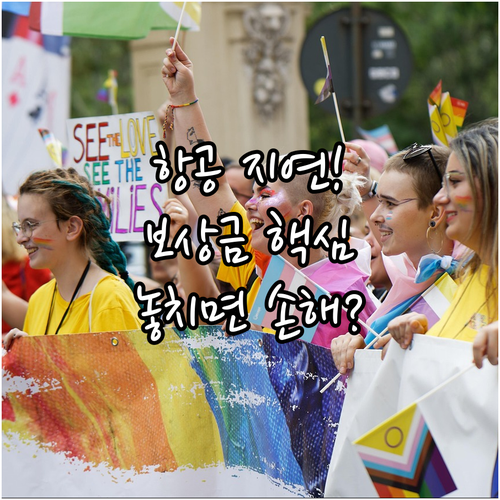 항공기 지연도 보상? 놓치기 쉬운 여..