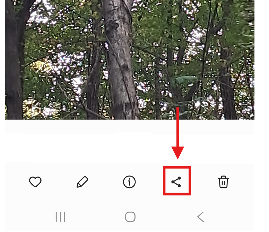 방법 3: 공유 버튼 누르기