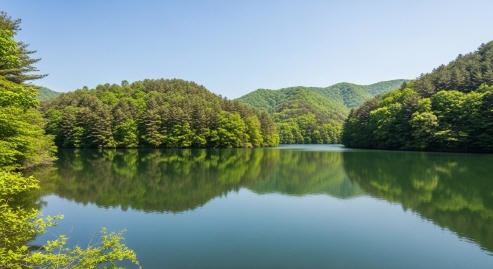 강원 화진포 호수와 숲의 조화