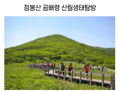 숲길체험-탐방로