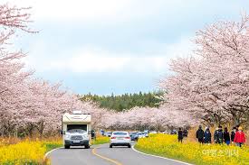 4월 제주도 가볼만한 곳 10곳