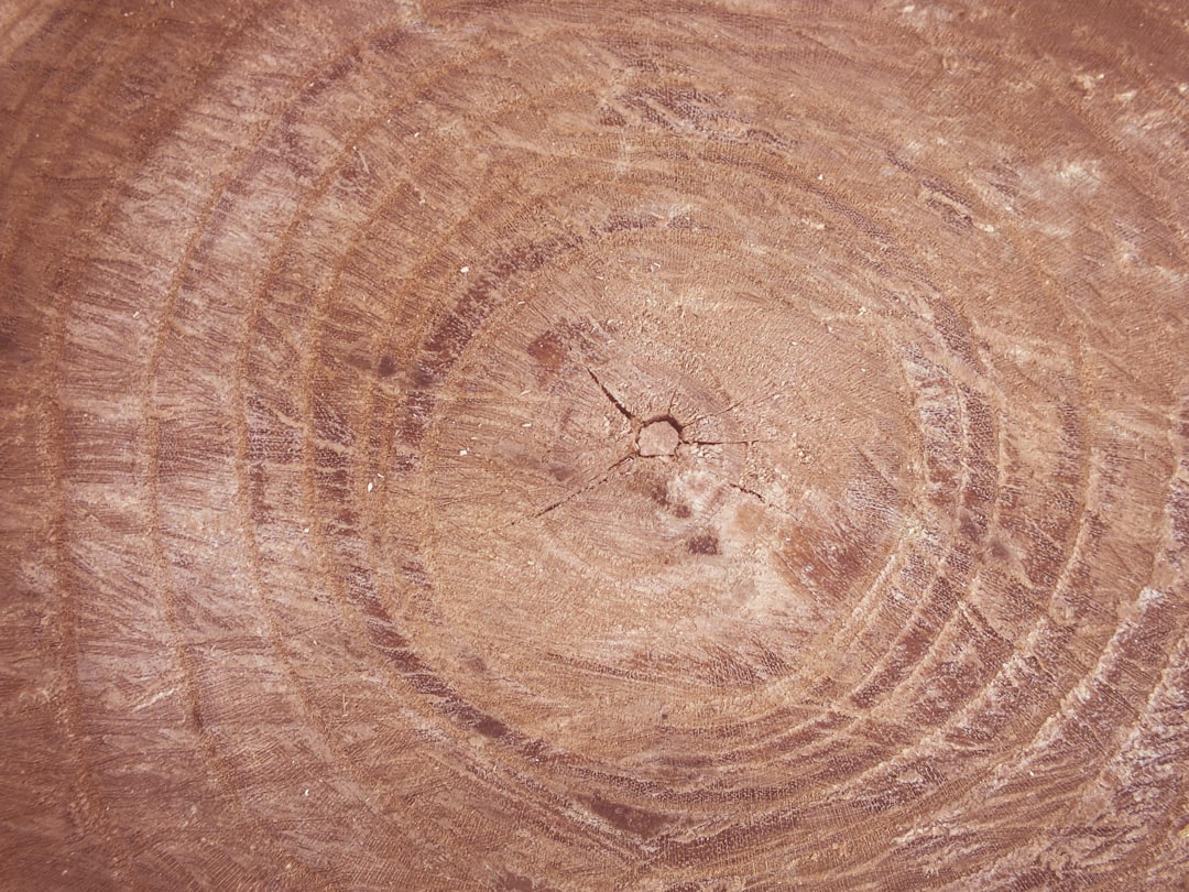Herniated disc.