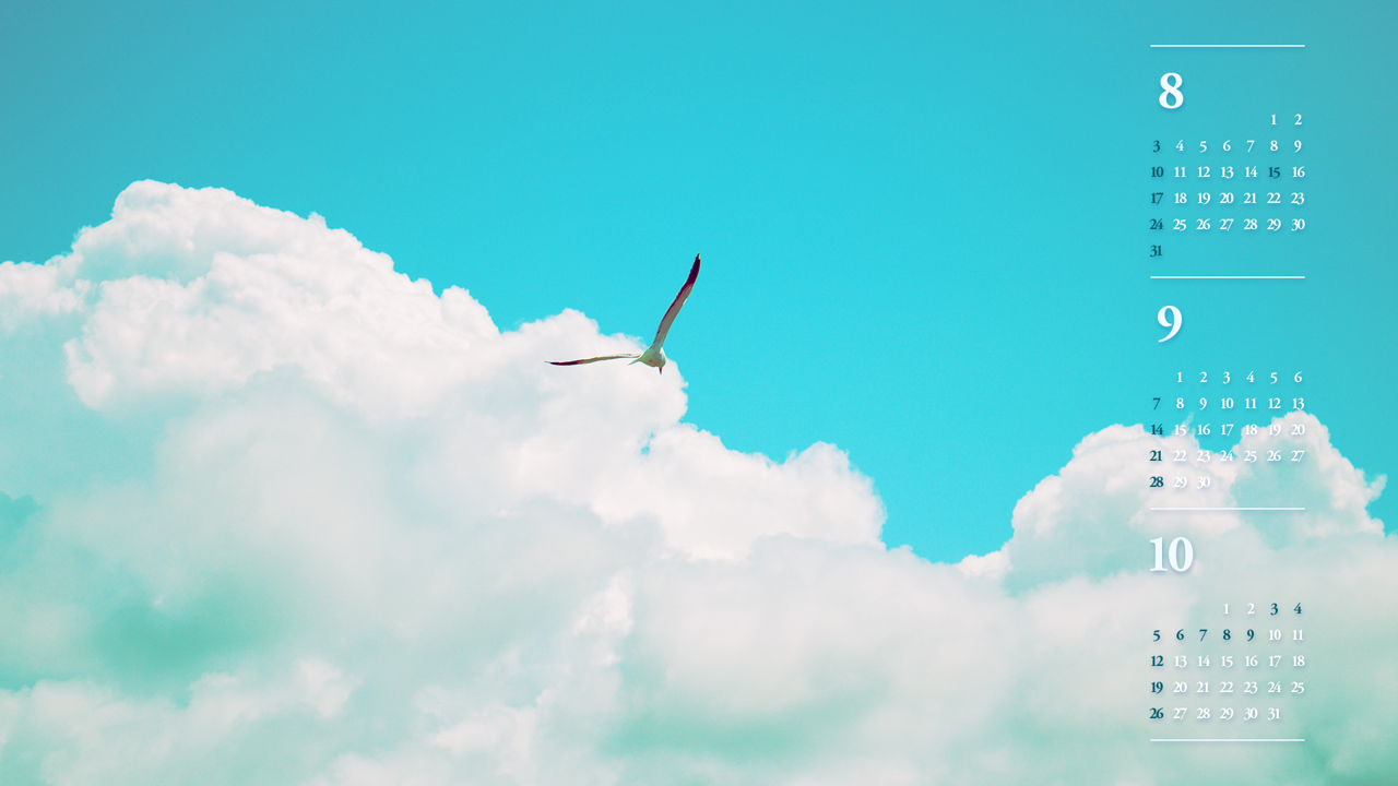 01 푸른 하늘 갈매기 B - 2025년9월 노트북배경화면