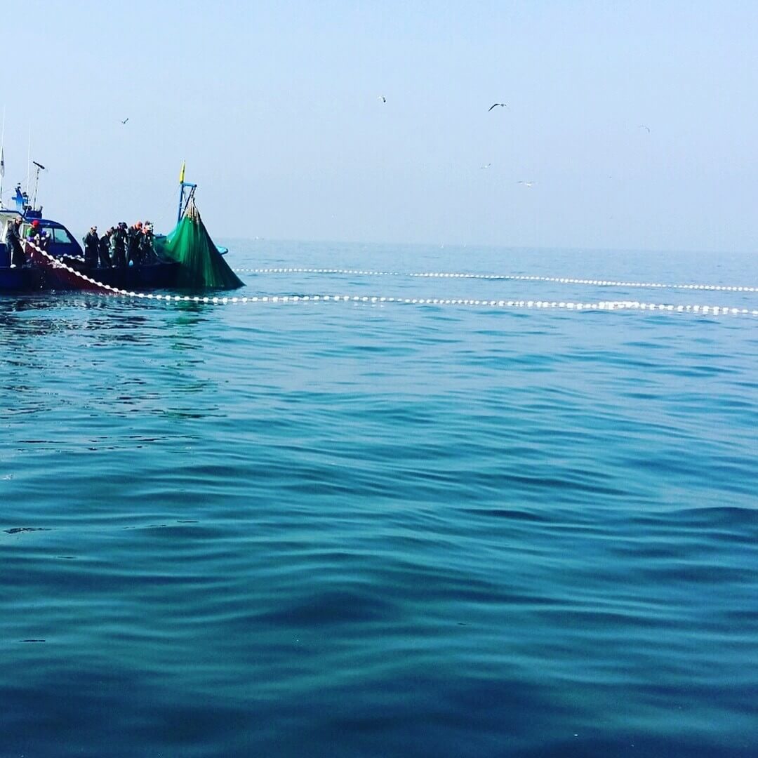 6시내고향 충남 서천 광어요리 맛집 원양호 수산물 온라인 주문