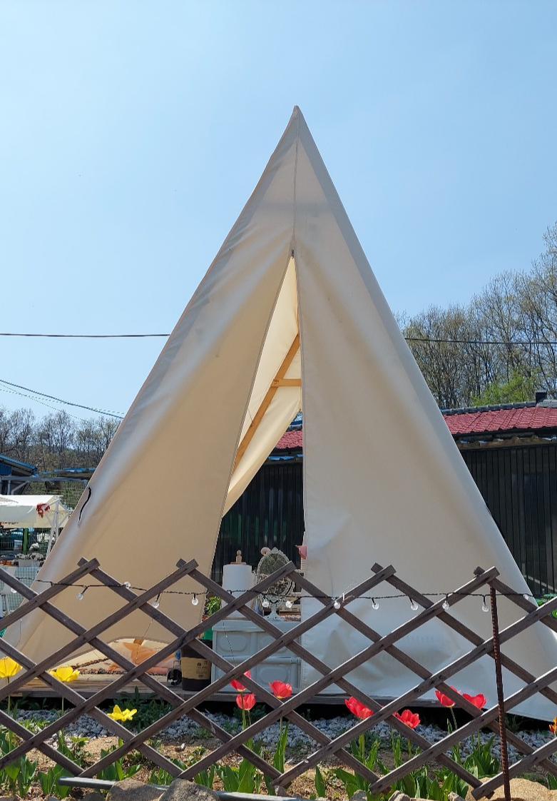 튤립을 울타리 앞에 심으니 너무 예쁨 올 봄에도 기대된다