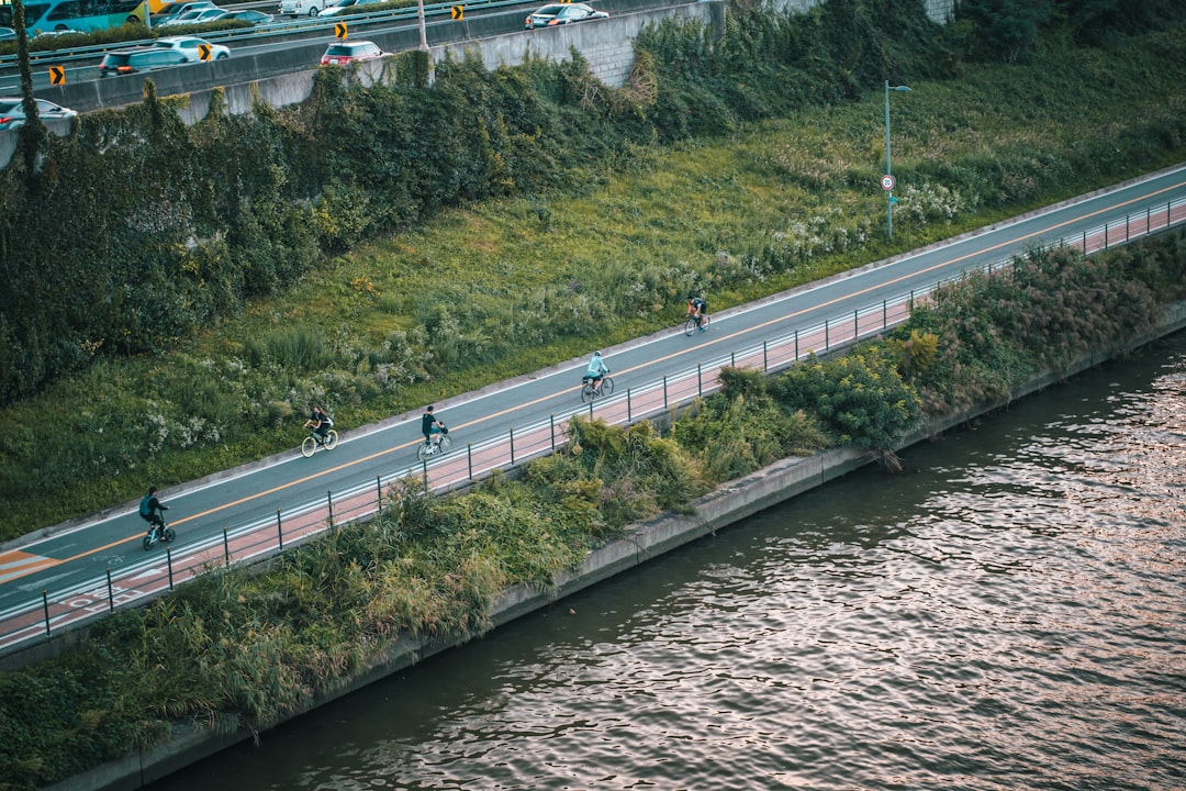 Han River Park