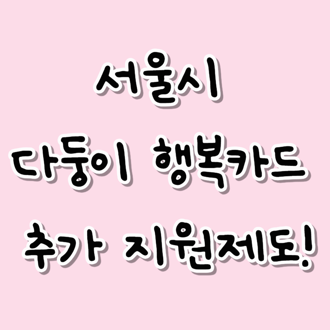 서울시 다둥이 가정을 위한 추가 지원제도 및 활용 꿀팁