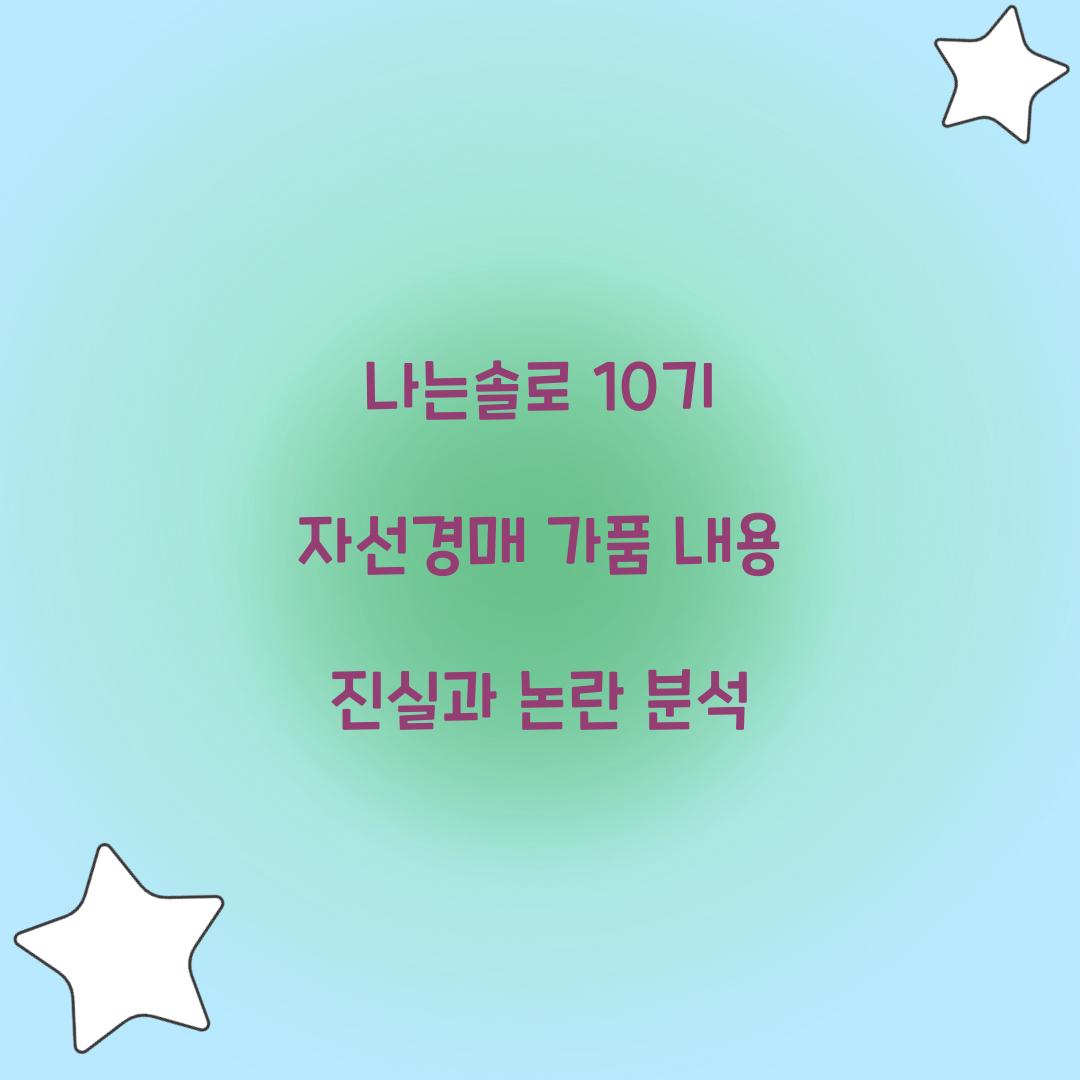 나는솔로 10기 자선경매 가품 내용