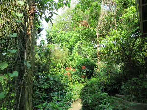 세부 여행 추천 후말론 나비 보호구역 앤 아트 갤러리